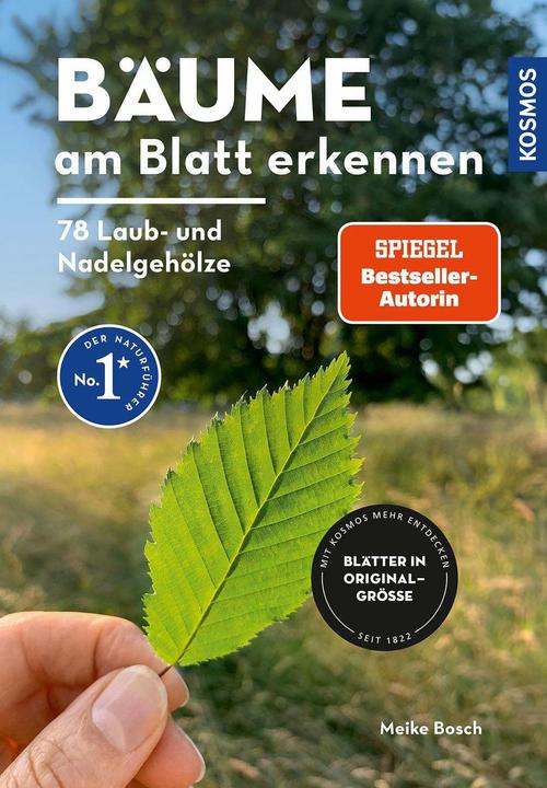 Immagine prodotto Kosmos Bäume am Blatt erkennen - 78 Laub- und Nadelgehölze. Blätter in Originalgrösse (Tedesco, Meike Bosch, 2024)