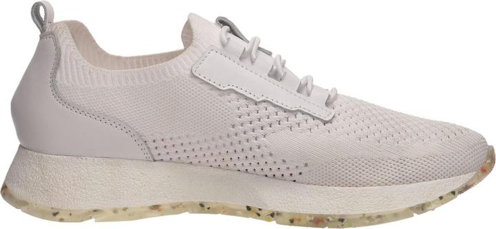 Produktbild Salamander Sneaker (38)