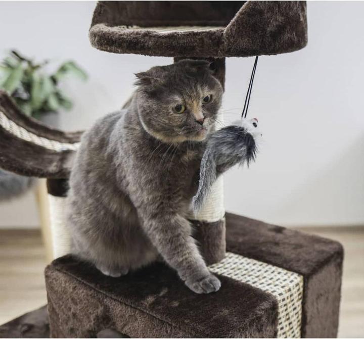 Actual product image Kerbl Scratching post Safari Big (122 cm, Dark brown)