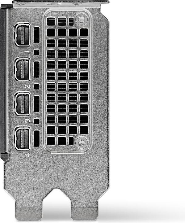 Actual product image PNY Quadro RTX 2000 ADA 16GB GDDR6 4xmDP (16 GB)