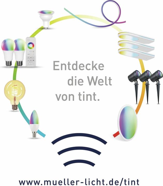 Actual product image Müller Licht Müller-Licht tint LED garden spot Flores LED fixed 1.8 W Warm white, RGB (180 lm, IP44)