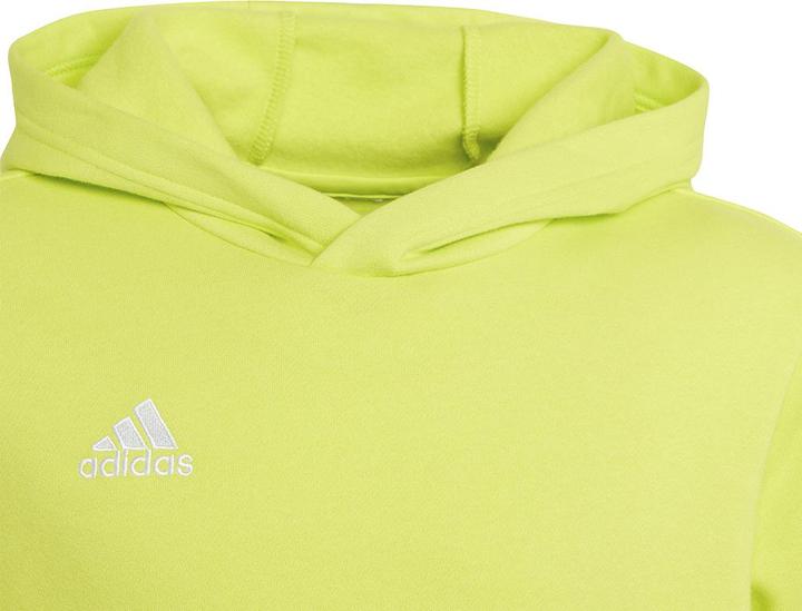 Image du produit adidas Sweat à Capuche Entrada 22 (128)