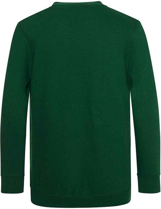Actual product image Awdis Childrens/Kids Academy V Neck Sweatshirt (104)