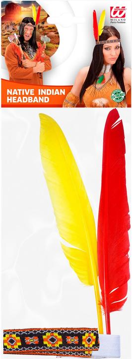 Actual product image Magni NET TOYS Indian hair band with 2 feathers Indian jewellery hair jewellery warrior feather jewellery