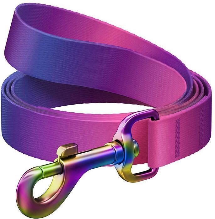 Waudog gradient nylon dog leash, 15mm wide, 122cm long, purple (S, Dog, Dog sport)