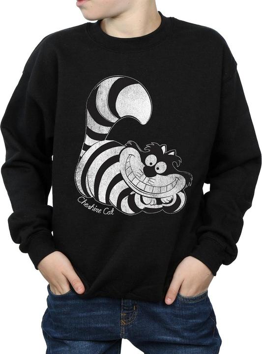 Actual product image Disney Boys Sweatshirt (116)