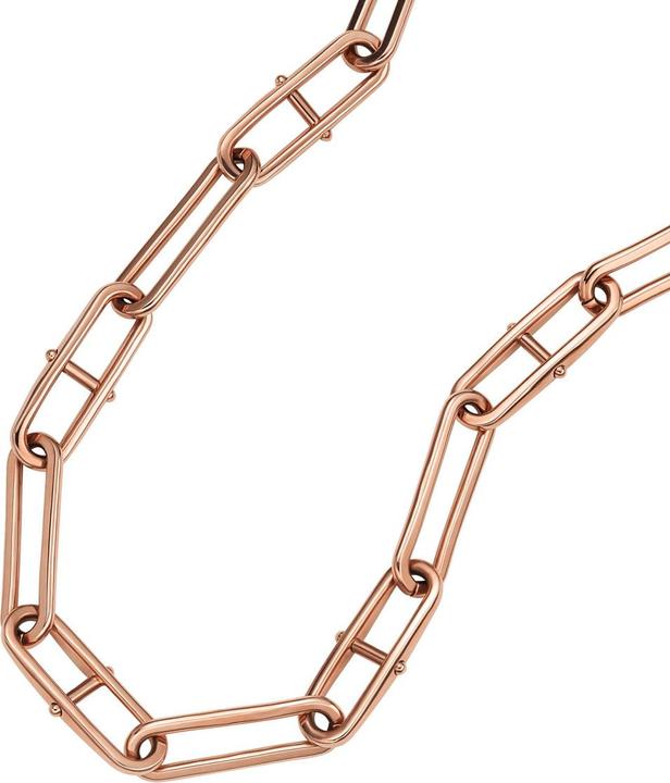 Actual product image Fossil Heritage (Stainless steel)