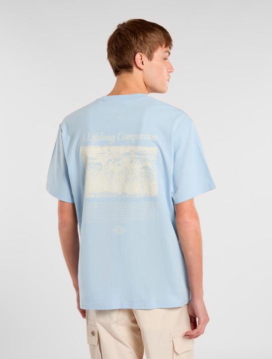 Produktbild Dickies Companion Script Ss Tee Skyway (L)