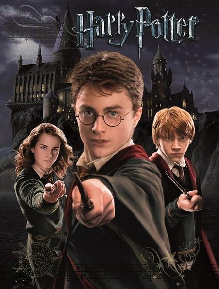Image du produit Imprimé Harry Ron And Hermione (30 x 40 cm)