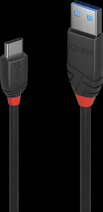 Actual product image Lindy black line (1.50 m, USB 3.1)