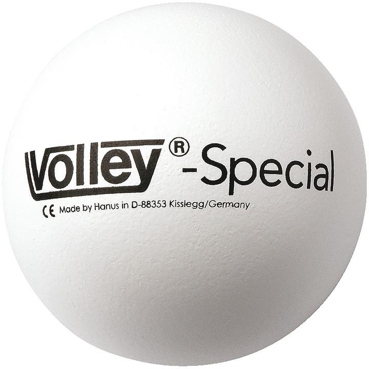 Actual product image Volley Soft foam ball special