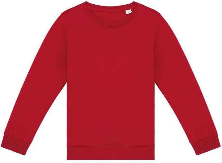Actual product image Native Spirit Sweatshirt (110, 116, 115 A)