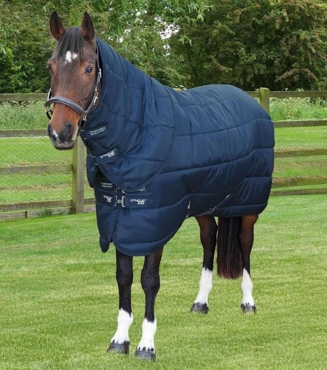 Actual product image Premier Equine Stratus 200g (168 cm)