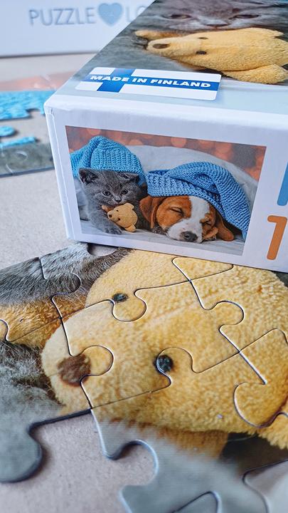 Immagine prodotto Selecta Spielzeug Puzzle con gattino e cane addormentato, 100 pezzi. (100 pezzi)
