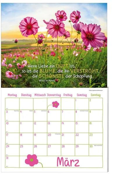 Immagine prodotto Calendario Love the day confezione 2025, 9 pezzi (Tedesco)