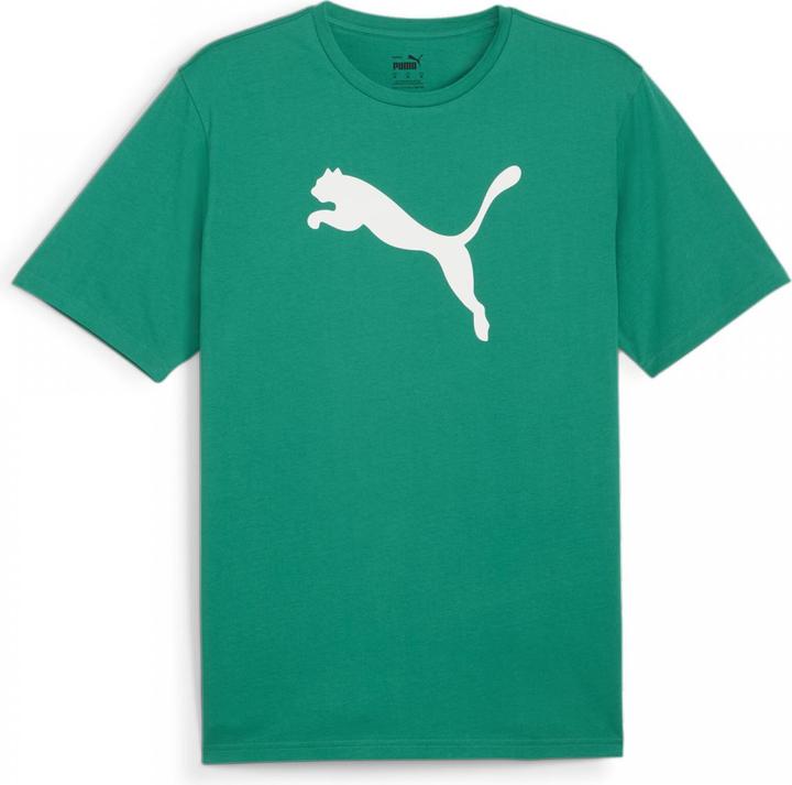 Image du produit Puma teamRISE Logo Jersey Cotton (M)