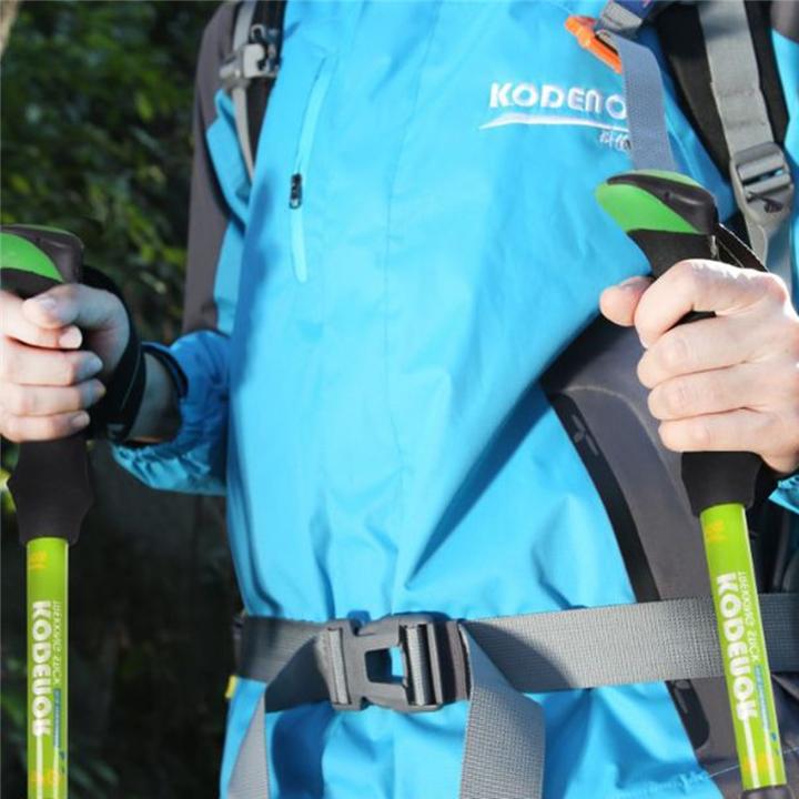Immagine prodotto Stride Faltbarer Aluminium Trekking Wanderstock Nordic Walking Stock (107 - 125 cm)