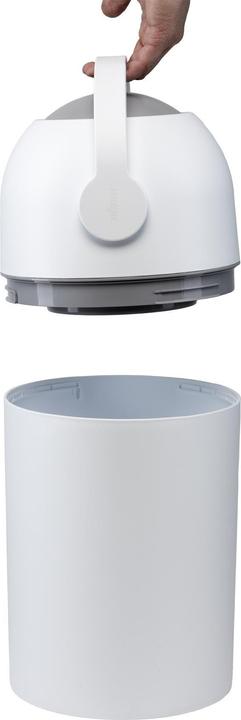 Actual product image Magic Majestic (0 x)