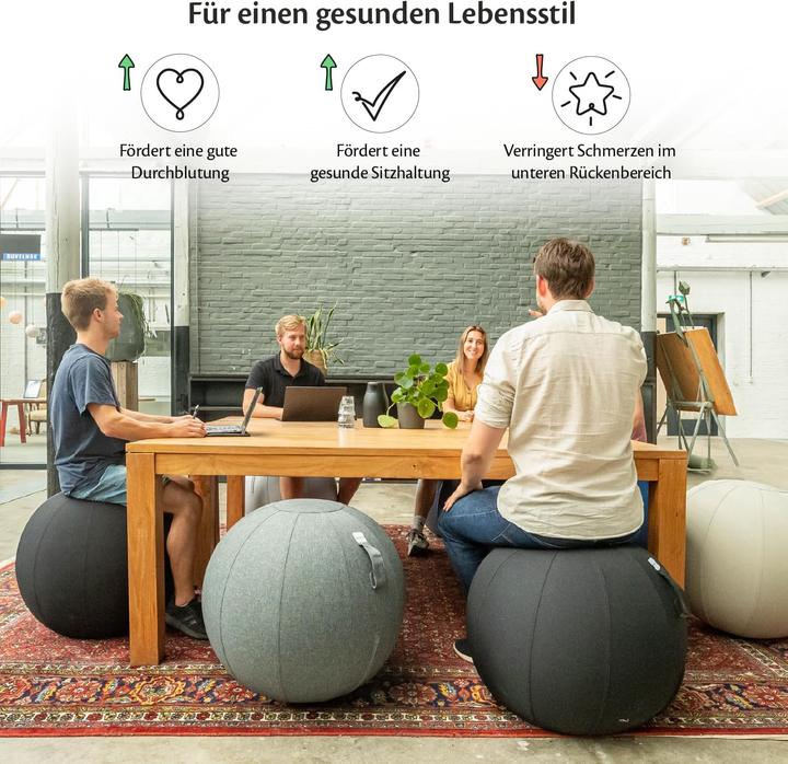 Immagine prodotto Backerz Ergonomischer Sitzball mit waschbarem Leinenbezug (65 cm)