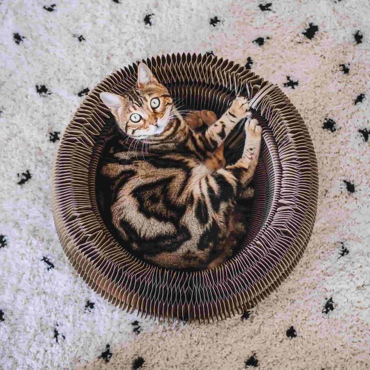 Actual product image District 70 Maze (18 cm, Dark brown)