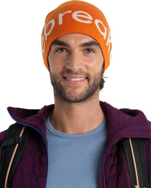Actual product image Icebreaker U Mer Beanie (One size)