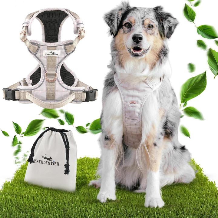 Freudentier Clyde Hundegeschirr (S, Hund, Allgemein)