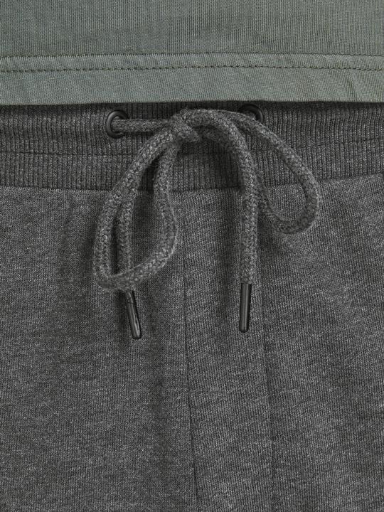 Image du produit Jack & Jones Gordon Sweathose (L)