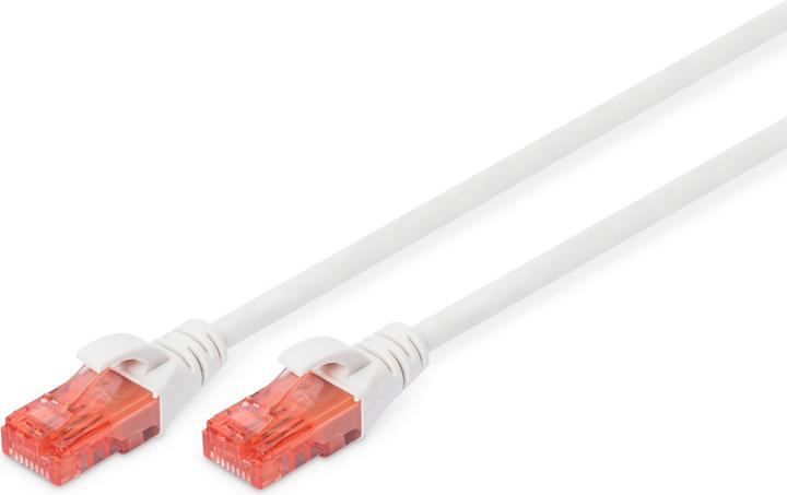 Immagine prodotto Digitus Cavo di rete (UTP, CAT6, 0.50 m)