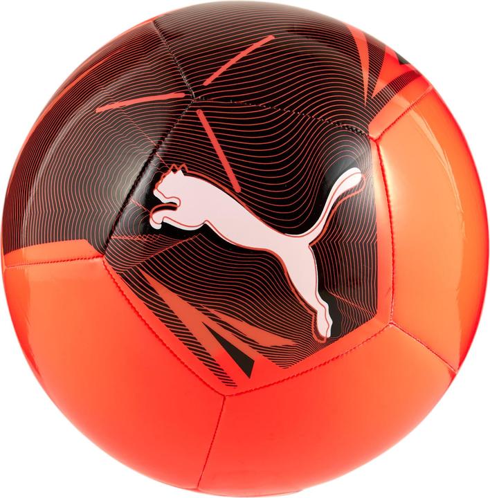 Immagine prodotto Puma Big Cat