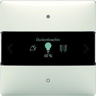 Actual product image Theben LUXORliving iON8