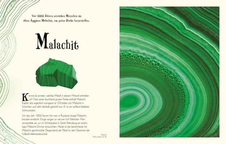 Produktbild Wundervolle Welt der Natur (Deutsch, Ben Hoare, 2020)