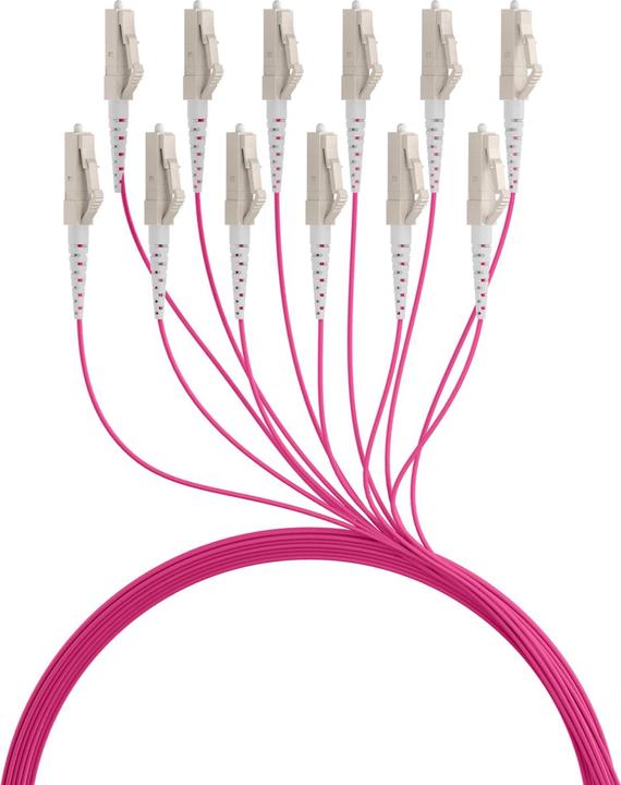 Actual product image EFB Elektronik Trunk cable U-DQ ZN BH OM4 12G 1x12 LC-LC 60m Dca LSZH (60 m)