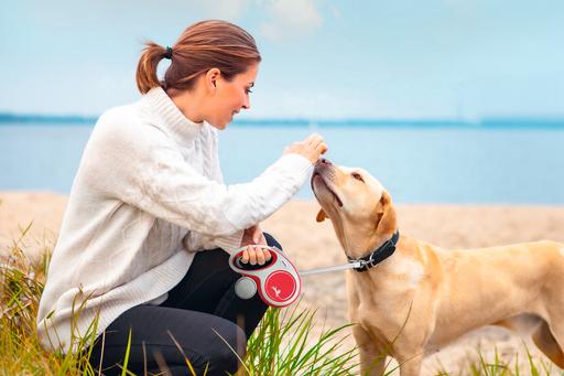 Immagine prodotto Flexi Nuova cintura Comfort (L, Cane, Passeggiare)