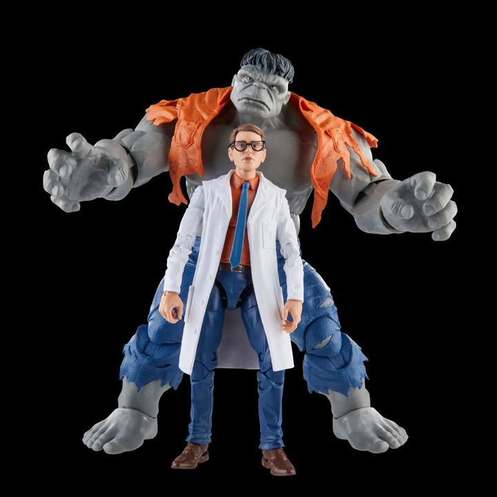 Immagine prodotto Hasbro Avengers Marvel Legends Gray Hulk & Dr. Bruce Banner