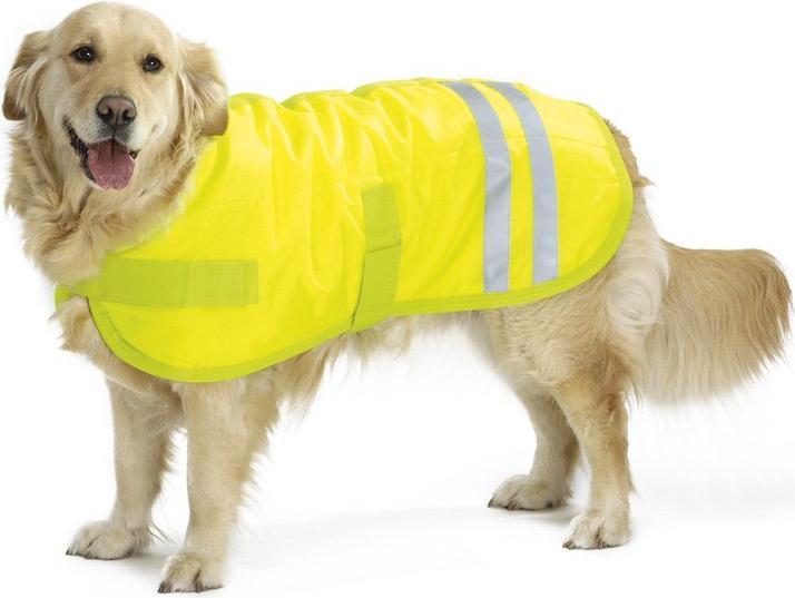Actual product image Beeztees Bz Sg Dog Coat Teddie Reflections (S, Dog coat)