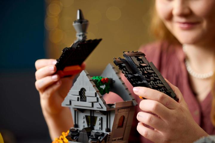 Actual product image LEGO Nightmare Before Christmas (21351, LEGO Ideas, LEGO Rare Sets)