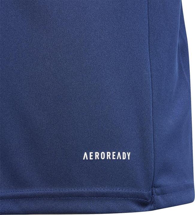 Image du produit adidas FORTORE23 JSY Y (176)