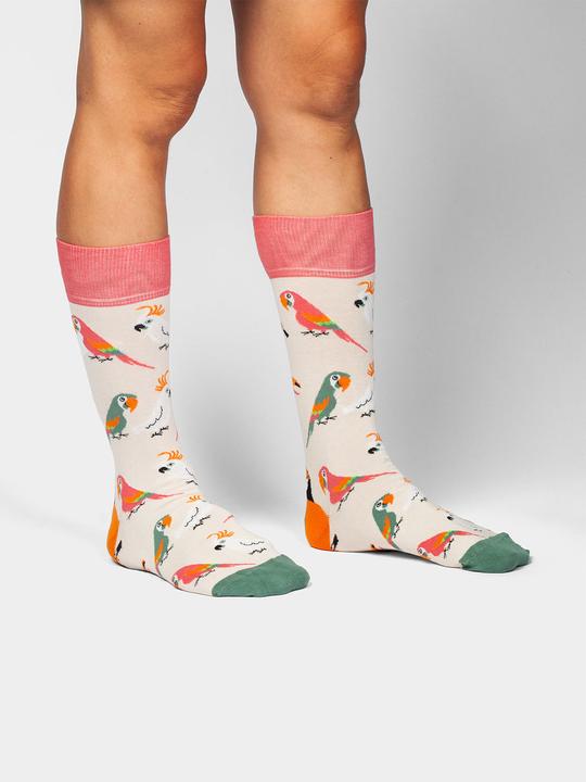 Image du produit DillySocks Aviaire de sable (Une unité par pack, 36 - 41)