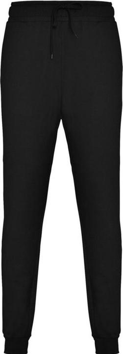 Actual product image Alpinia Mens Adelpho Trousers (M)