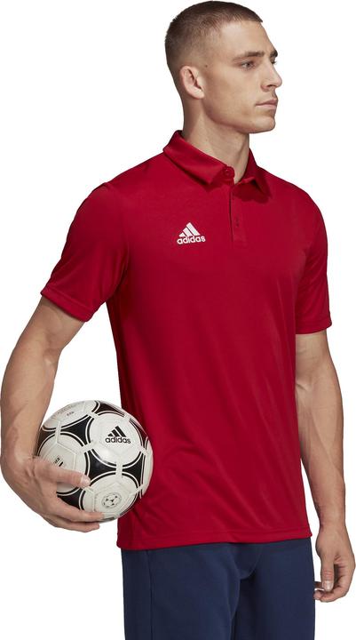 Actual product image adidas Entrada 22 polo shirt men (XS)