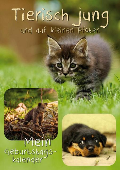Produktbild Geburtstagskalender Tierisch jung (A4, Deutsch)