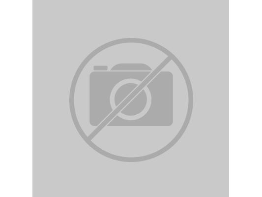 Productafbeelding Swiftpoint ProPoint (Draadloze)