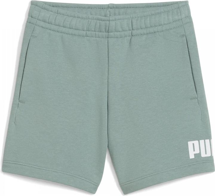 Actual product image Puma ESS No. 1 Logo Shorts TR PS (98)