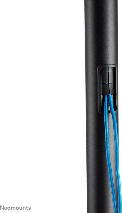 Produktbild Neomounts FL50-540BL1 (Universal, 70", 50 kg)