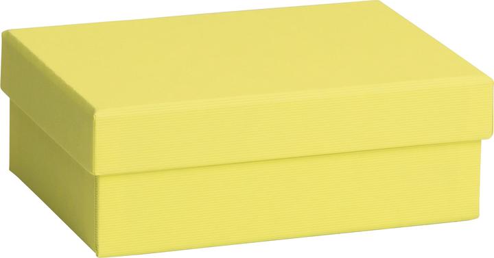Immagine prodotto Stewo Scatola regalo monocolore (Borsa da regalo, 1 x)