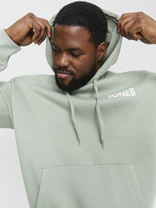 Produktbild Jack & Jones Jjecorp Logo Sweat Hood Noos Pls (4XL)