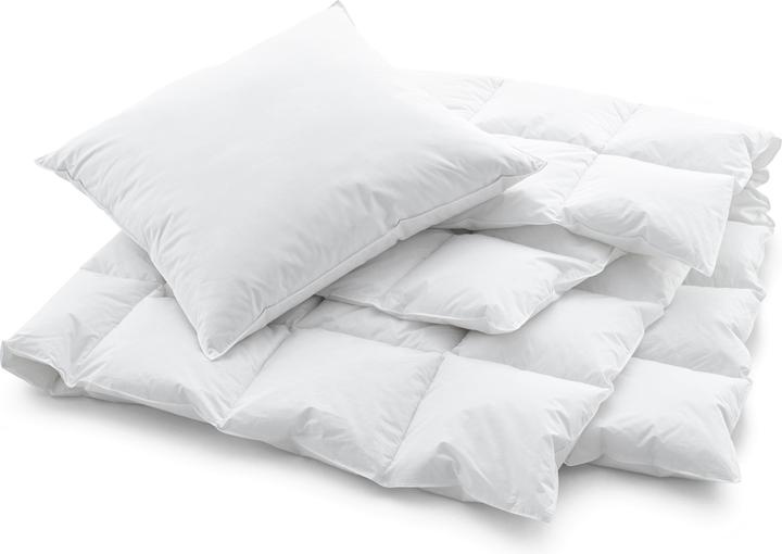 Produktbild Swiss Dream by billerbeck Cassette Classic 90 (650 g, 160 x 210 cm)