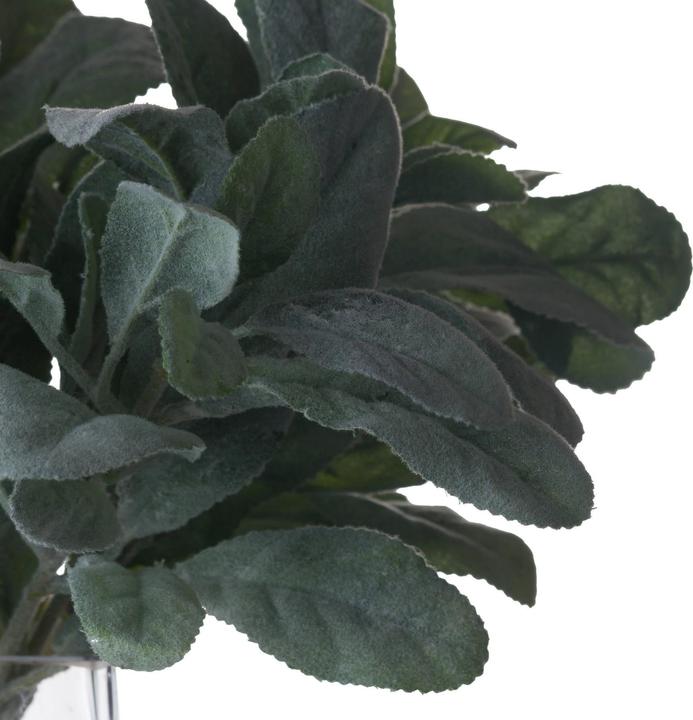 Image du produit Hill Interiors Plante artificielle Oreille d'agneau (35 cm)