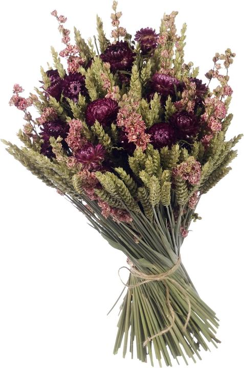 Produktbild Anjel Trockenblumen (Trockenblumen)