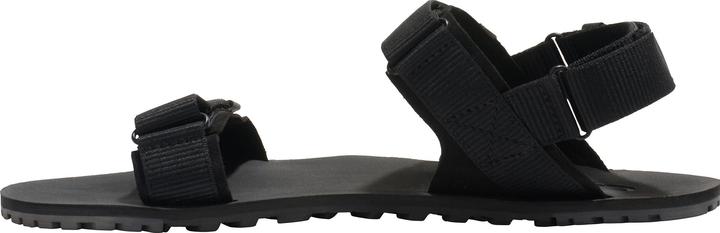 Actual product image Xero Shoes D-Trail (42)